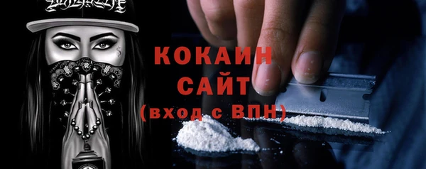 молекула духа Осташков