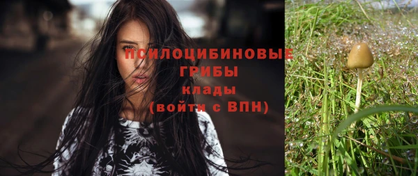 шишки Алексин